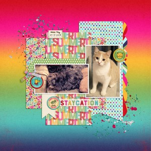 Staycation (Animals)