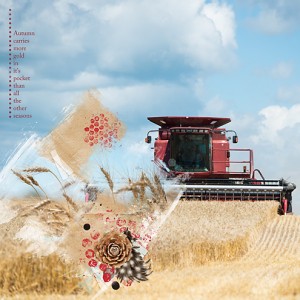 Harvest 2015