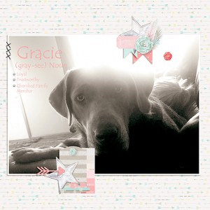 Sweet Pup