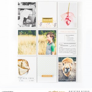 Week 23 & 24 | left side