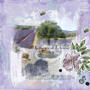 Dinskip Challenge JunJul Ellen 1 600x600