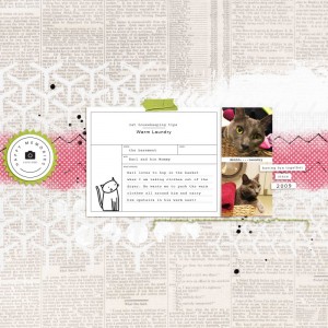 July_2017_Template_Challenge_Lilypad