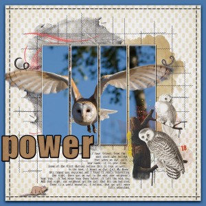 Pure Power