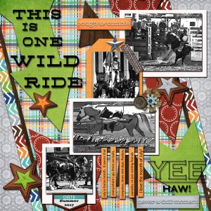 Wild Ride