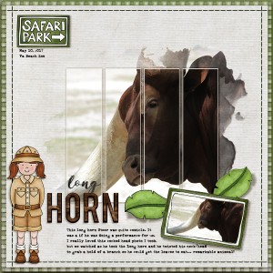 Long Horn