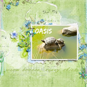 Oasis