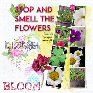 Stop and Smell the Flowers (July Inspiration)