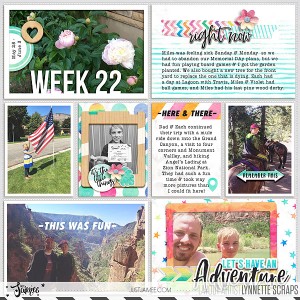 2017 week 22 - left side