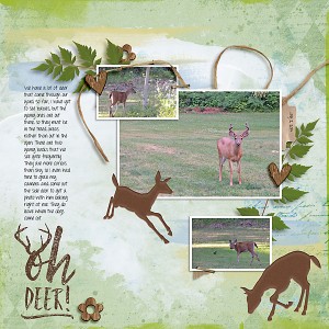 Oh Deer!