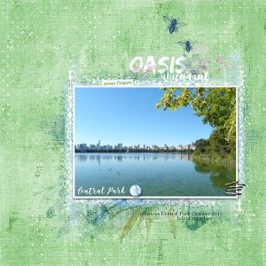 oasis