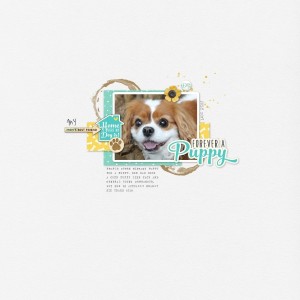 Poppy Puppy