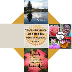 July 2017 Muse_Wk3_web