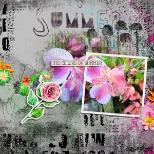 Colors Of Summer