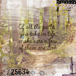 Dirt Paths