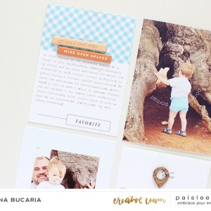 Paislee-Julyproject-det2-projectbyLoredanaBucaria
