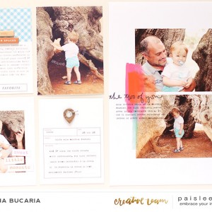 Paislee-JulyProject-projectbyLoredanaBucaria
