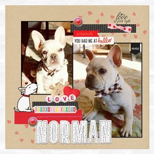 Norman