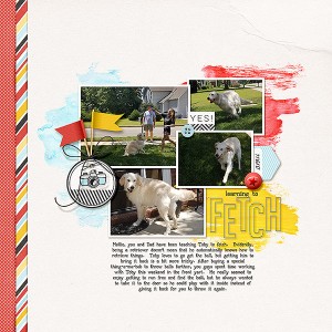 Fetch