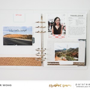 Paislee-SCENICROUTE-projectbyjenwong2