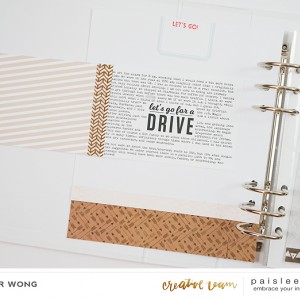 Paislee-SCENICROUTE-projectbyjenwong3