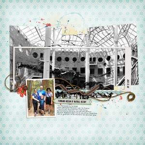 Fernbank Museum
