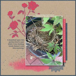 Hidden-Nest