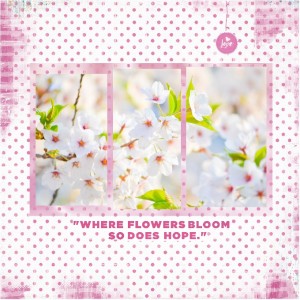 July-Photography Challenge-Multiple Photos-Single Image-Hope Blooms