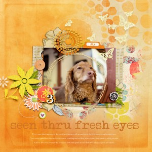 Seen Thru Fresh Eyes