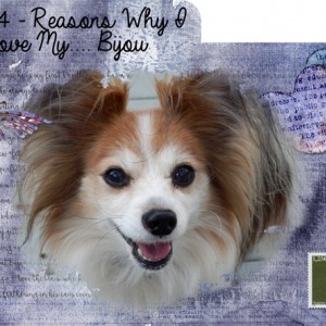 Christmas in July Index-Card-A-Day Challenge Day 4-Reasons-Why-I-Love-My---Bijou
