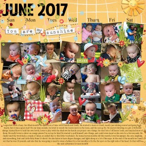 Logan June 2017