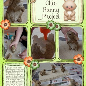 The-Ohio-Bunny-Project