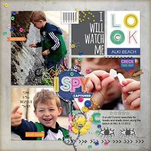 2012 I Spy Alki Beach