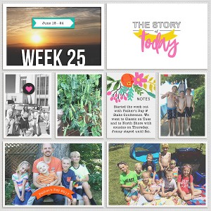 2017 week 25, left side