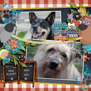 Wag and the whole world wags with you