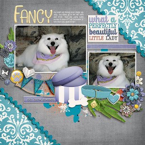 Fancy
