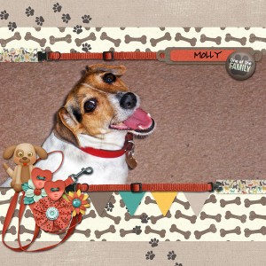 170729ScrapliftJuly17