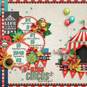 My 3-Ring Circus Life