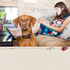 At Home