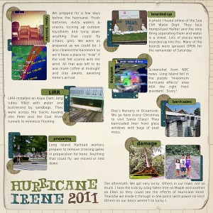 Hurricane Irene