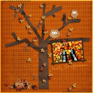 Lovely Fall Afternoon