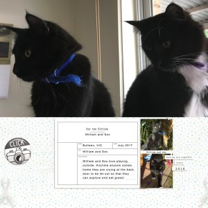 William and Sox - July template challenge