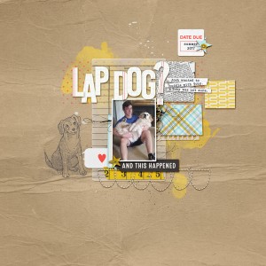 lap dog?