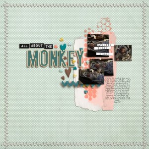 20170725 All About The Monkey