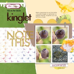 Kinglet-2