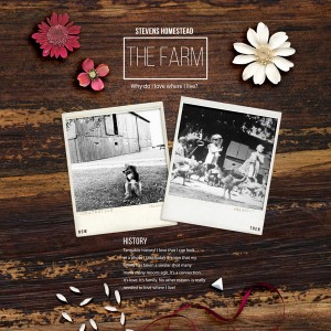 The Farm