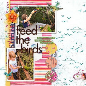 Feed the Birds
