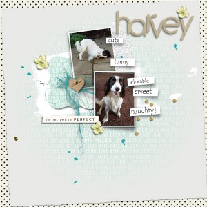 August Template Challenge
