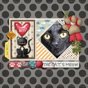 The Cat's Meow
