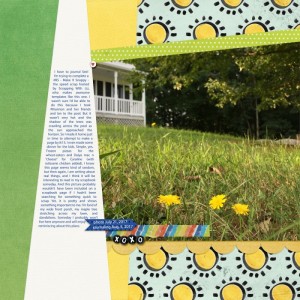 Random Ramblings on My Front Lawn