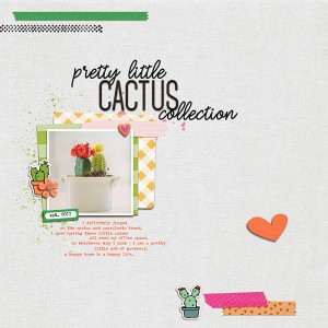 pretty little cactus collection